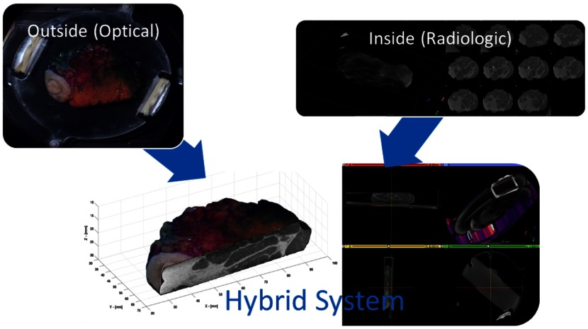 Fig. 12