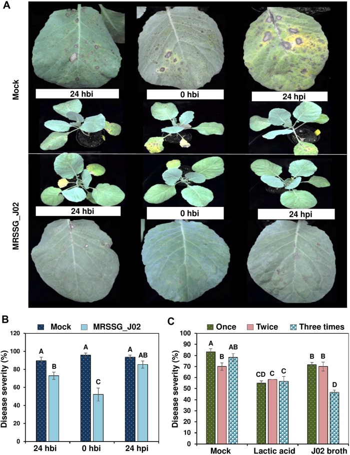 Fig. 5