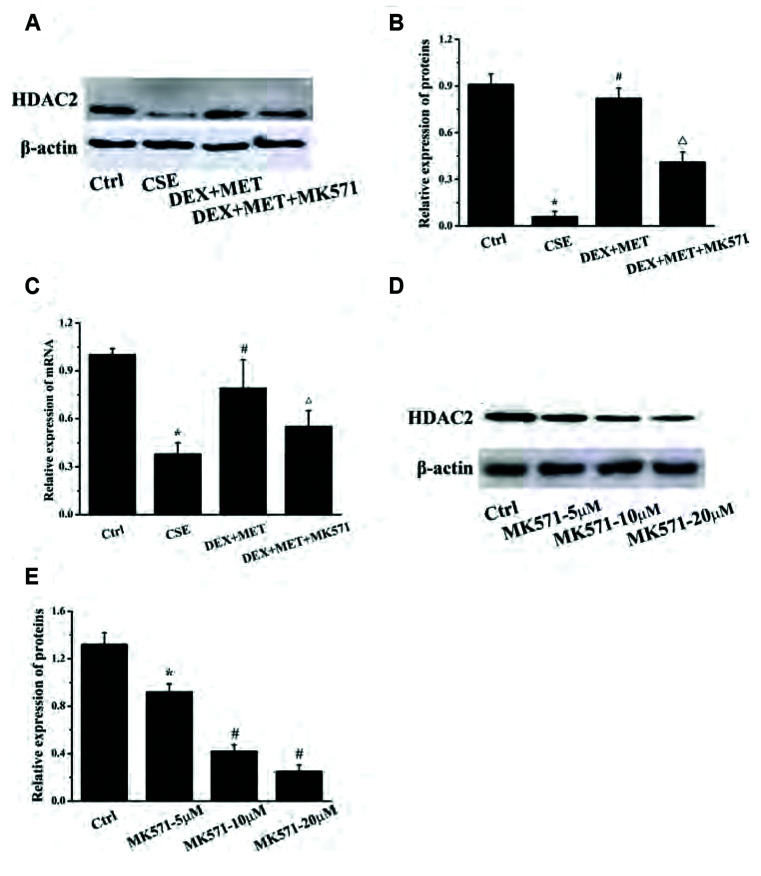 Fig. 12