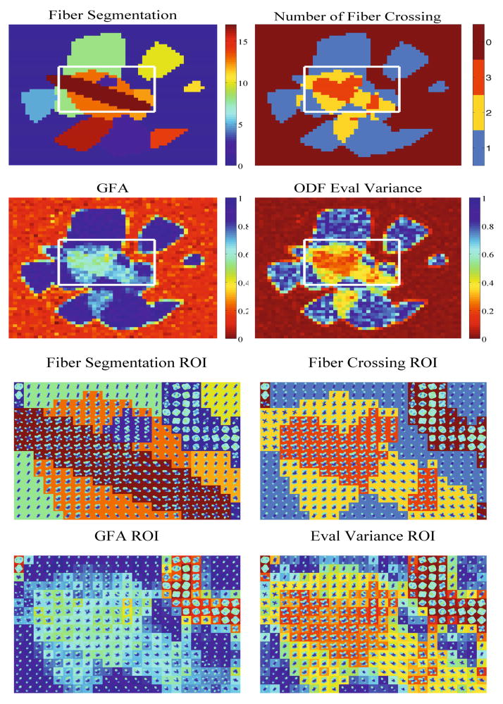 Fig. 3