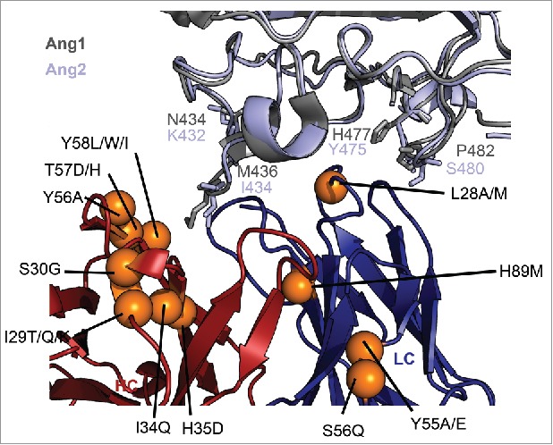 Figure 4.