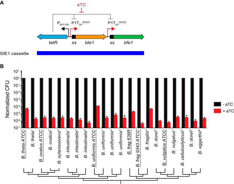 FIG 1