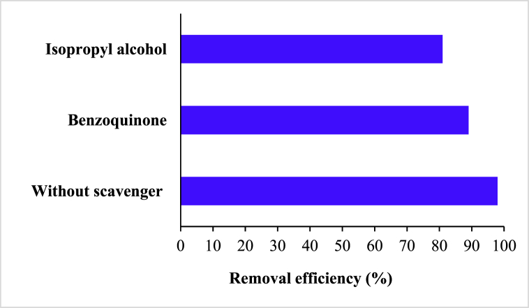 Fig. 13