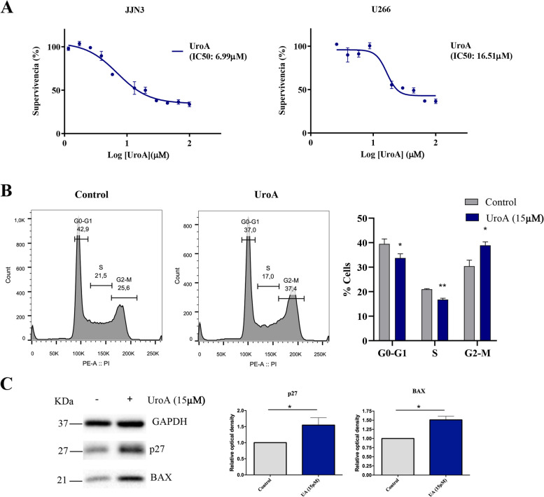Fig. 2