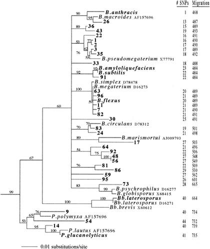 FIG. 5.