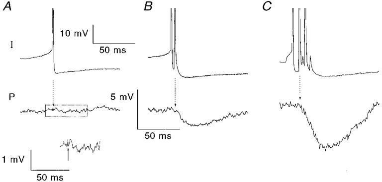 Figure 13