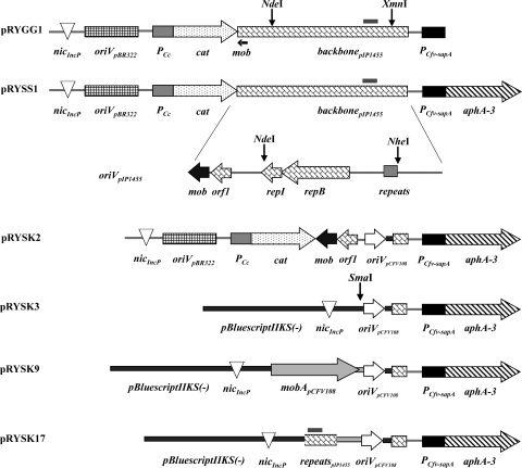 FIG. 2.