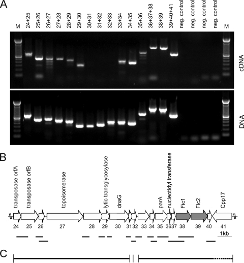 FIG. 5.