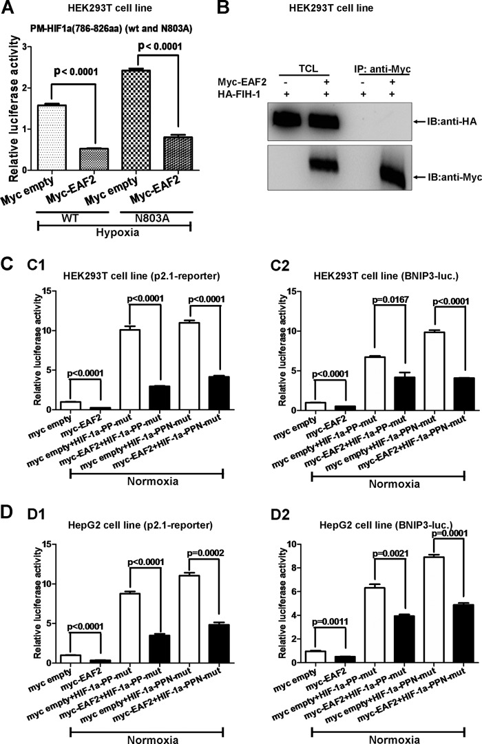 FIG 6