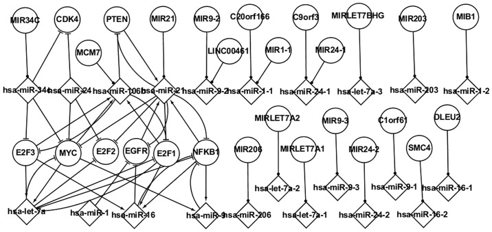 Figure 3.