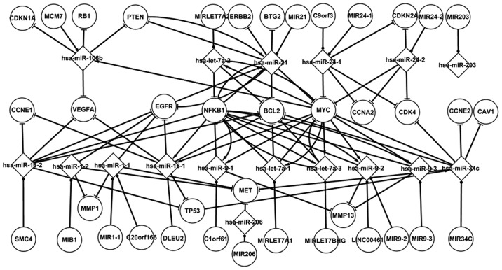 Figure 1.