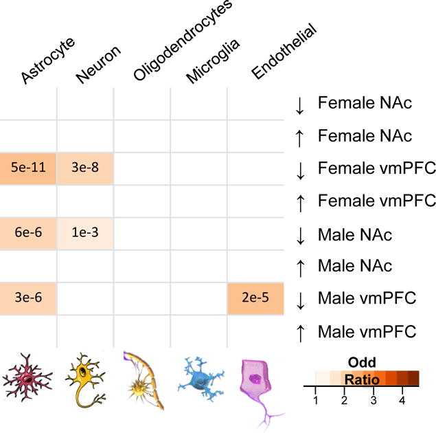 Extended Figure 2