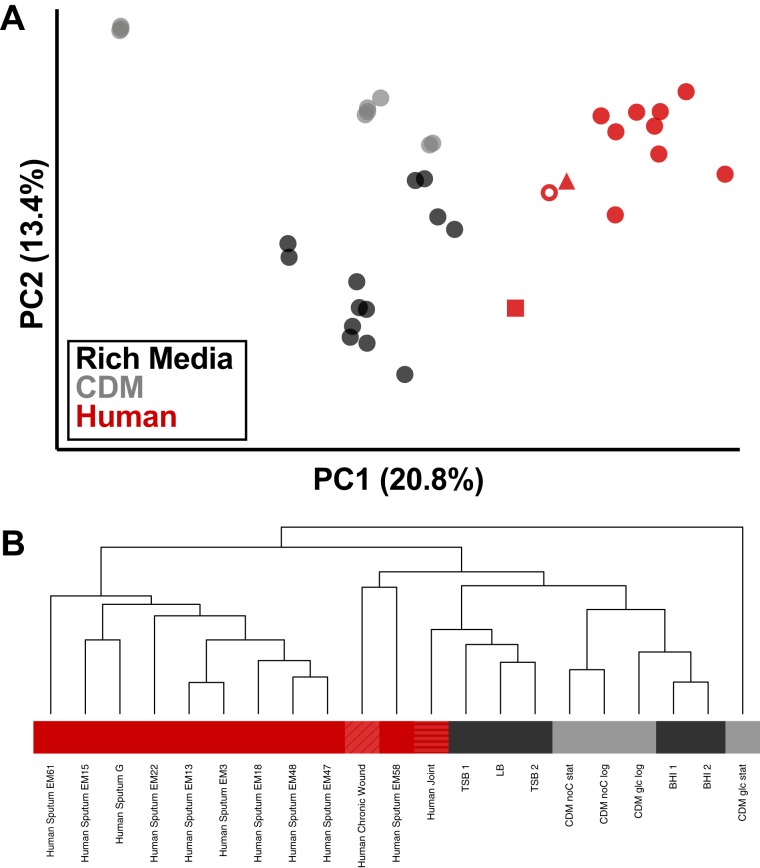 FIG 1