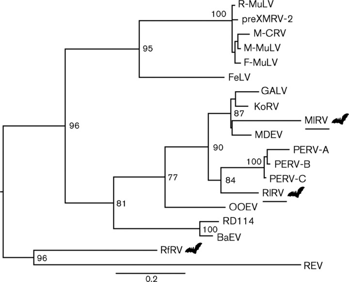 Fig. 1. 