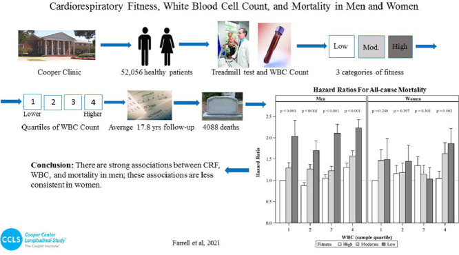 Image, graphical abstract