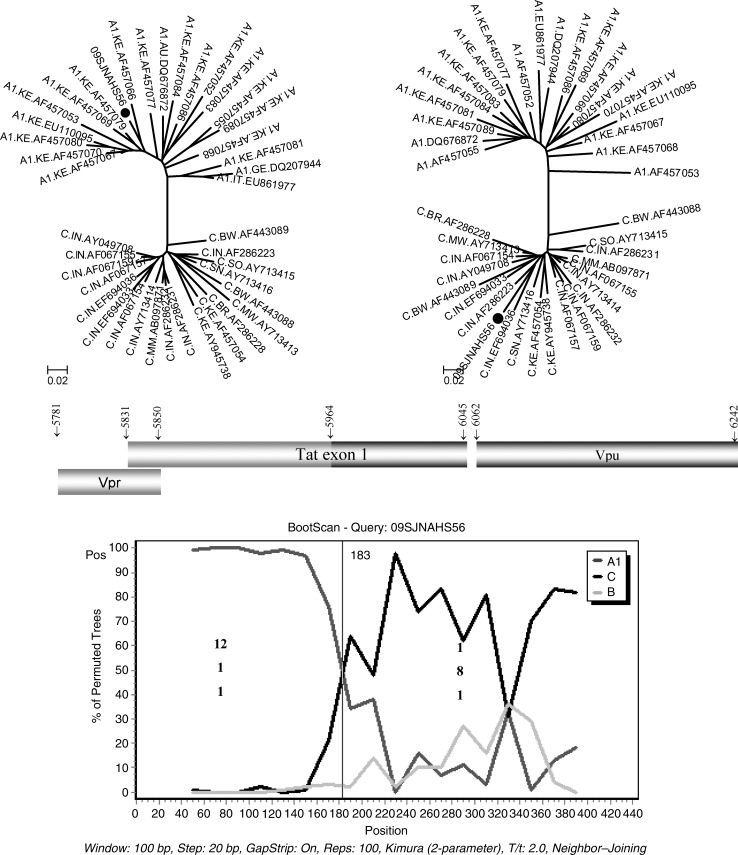 FIG. 2.