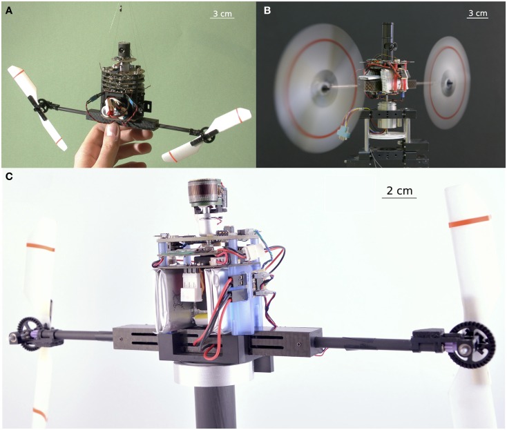 Figure 5