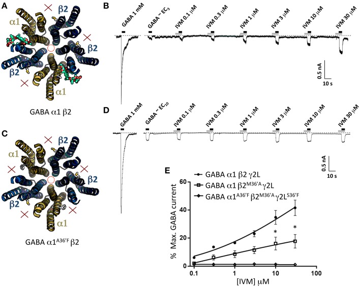 Figure 7