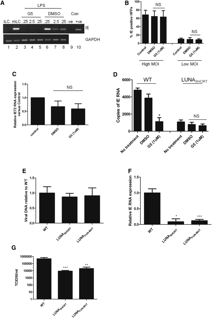 Figure 6