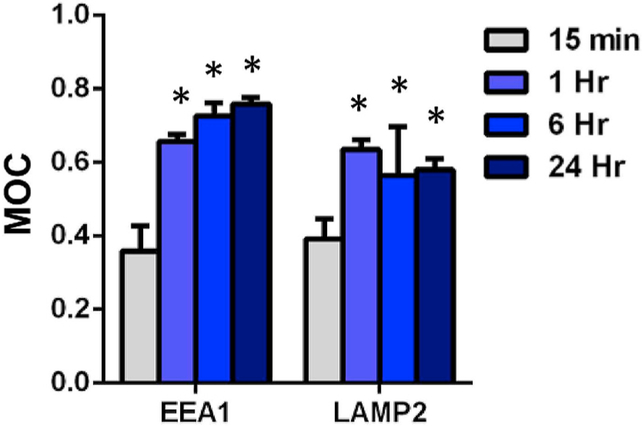 Fig. 8.