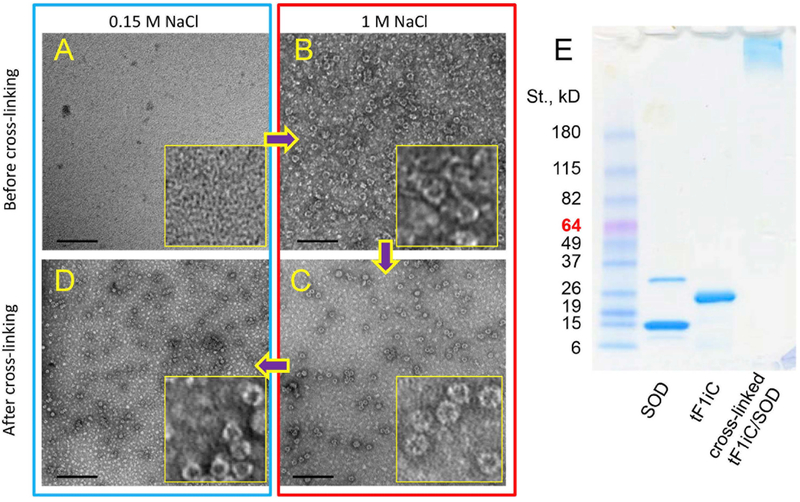 Fig. 3.