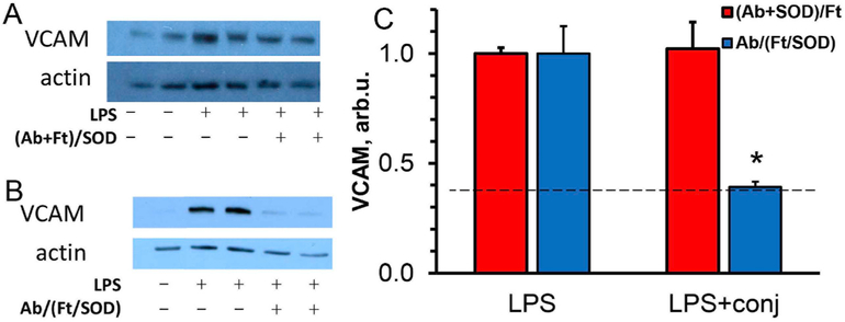 Fig. 12.