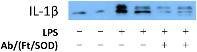 Fig. 13.