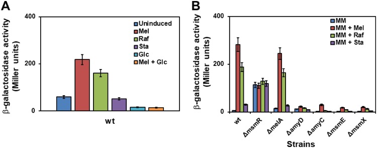 FIG 2