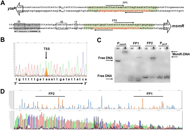 FIG 3