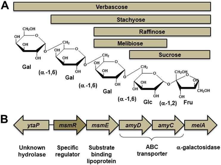 FIG 1