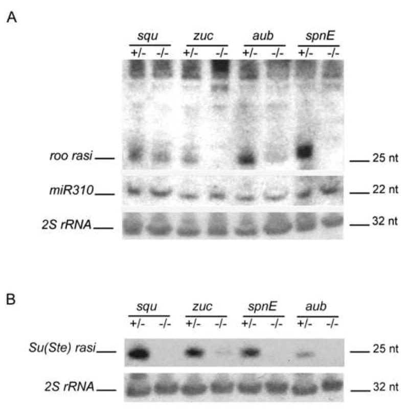 Fig 6