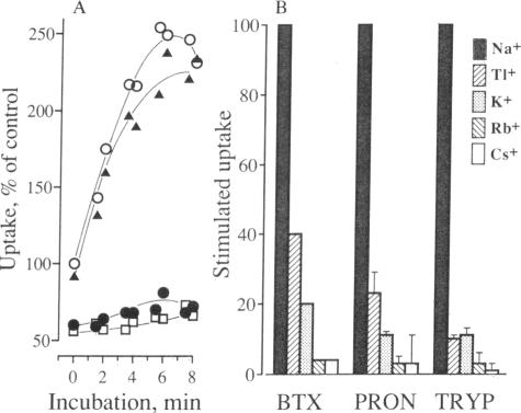 graphic file with name pnas00332-0281-a.jpg