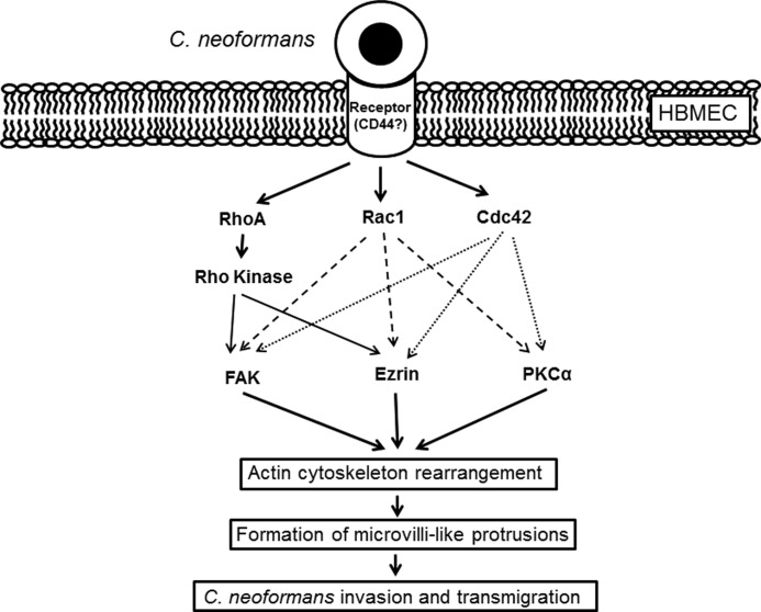 FIGURE 7.