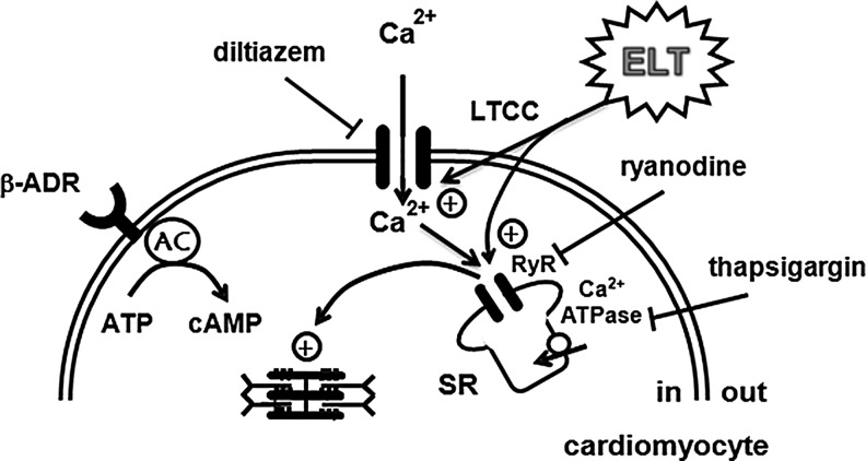 FIG. 9.