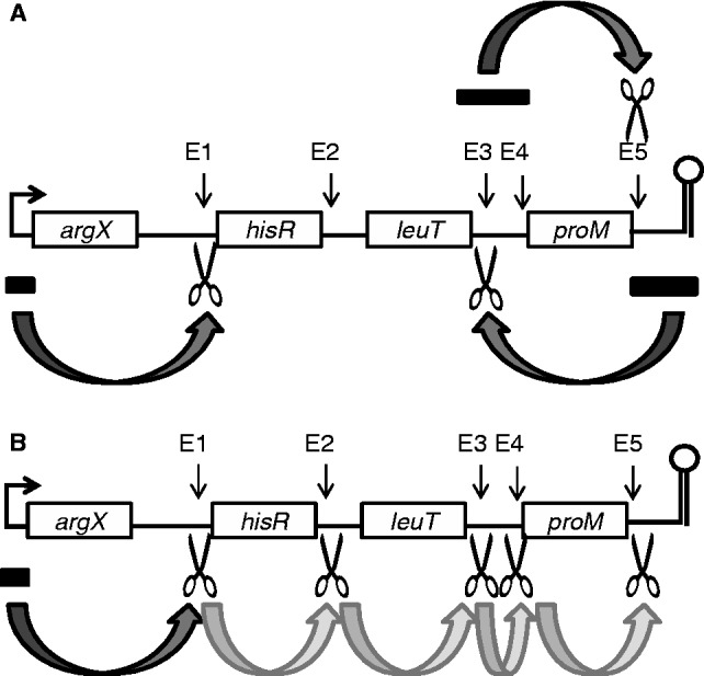 Figure 9.