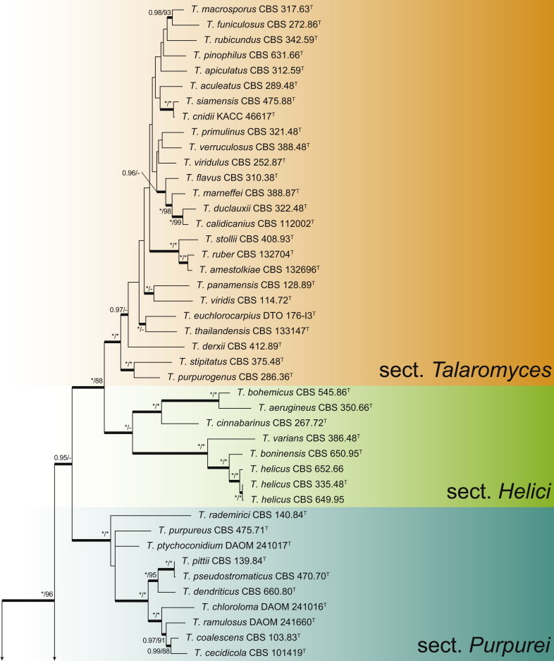 Fig. 1