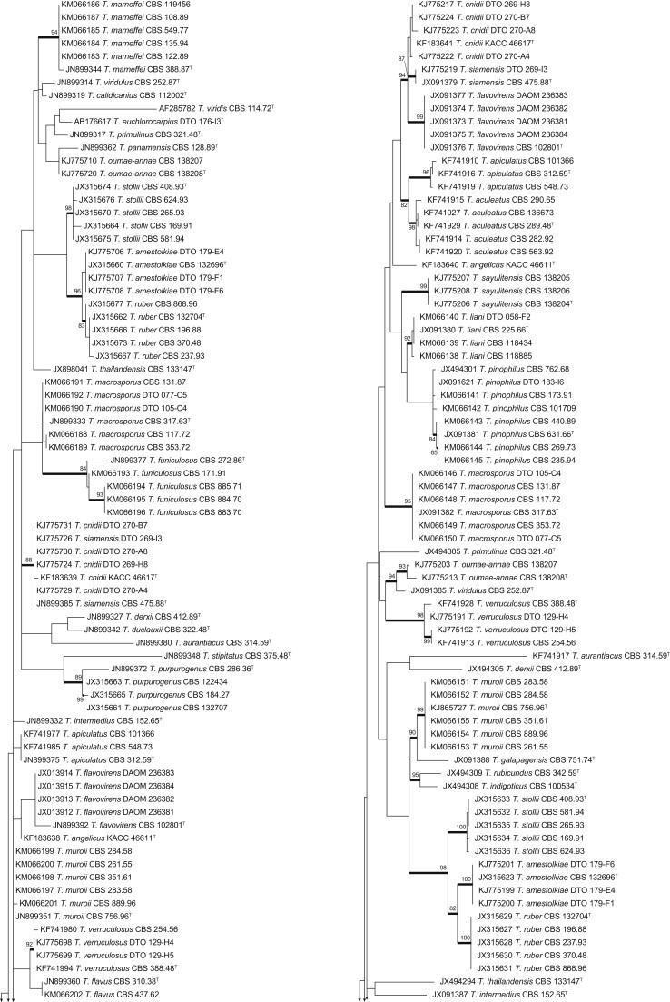 Fig. 2