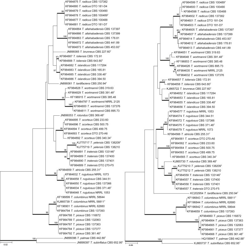 Fig. 7