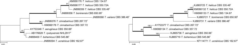 Fig. 3