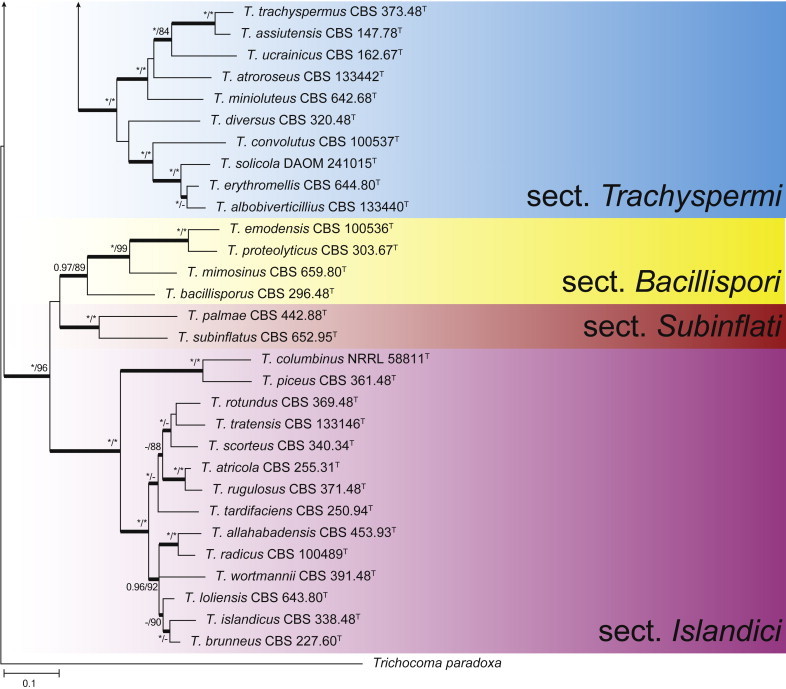 Fig. 1