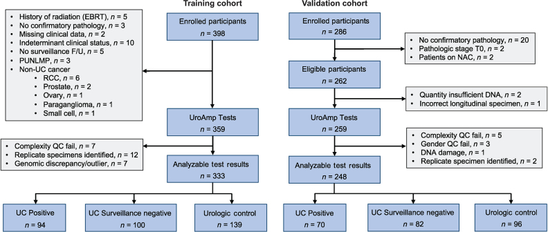 Figure 1. Standards for the reporting of diagnostic accuracy studies (STARD) diagram detailing training and validation specimen usage in this study.