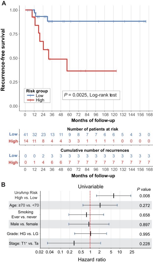 Figure 3. uCGP predicted recurrence risk. Urothelial carcinoma surveillance patients with negative cystoscopy and long-term follow-up with outcomes were analyzed for recurrence risk (n = 55, validation cohort). A, Kaplan–Meier curves for recurrence-free survival by UroAmp-predicted risk. Significance: P = 0.0025 (Log-rank test). B, Univariable Cox proportional-hazard regression analysis of UroAmp recurrence-risk groups and clinical-risk factors. For stage, T1+ indicates the grouping of patients with T1, T2, and T3 disease.