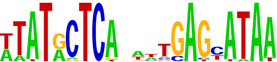 graphic file with name nihms62596t18.jpg