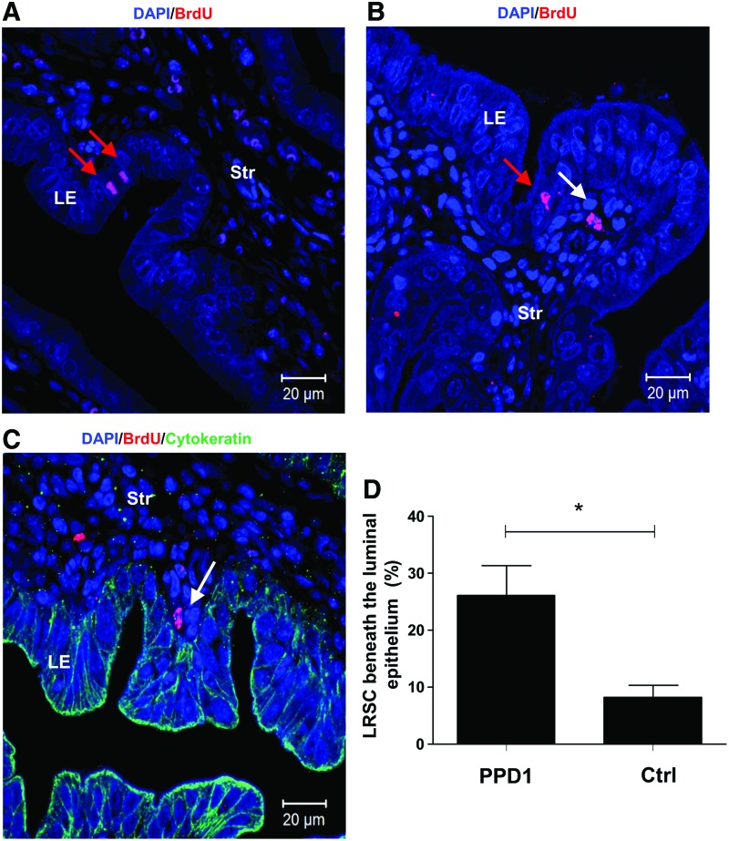 FIG. 7.