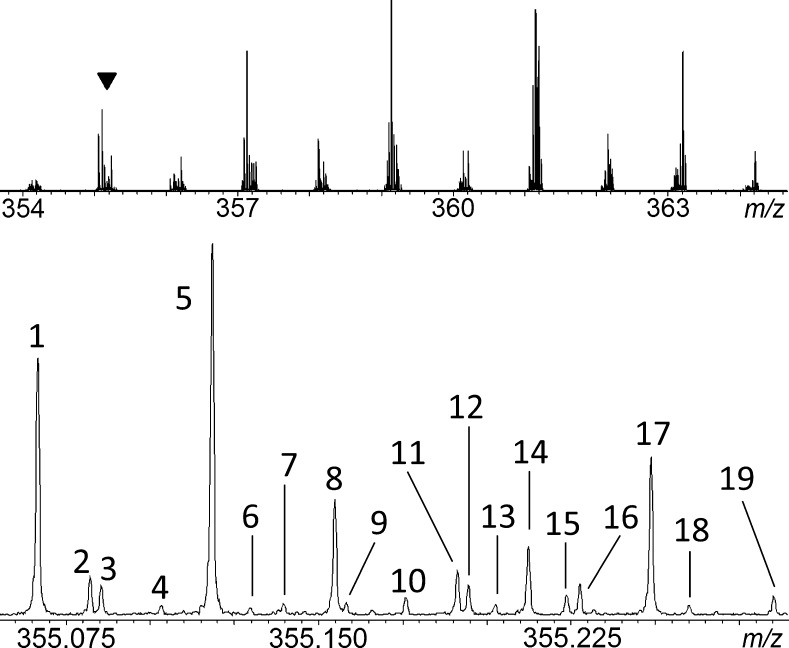 Fig. 2