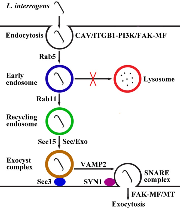 Figure 10.