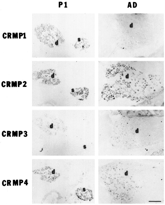 Fig. 8.