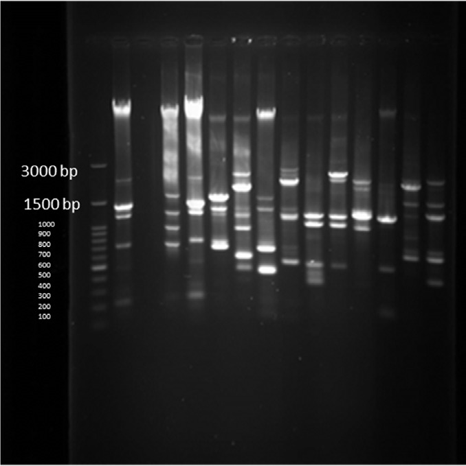 Figure 14