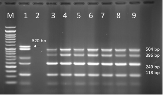 Figure 12