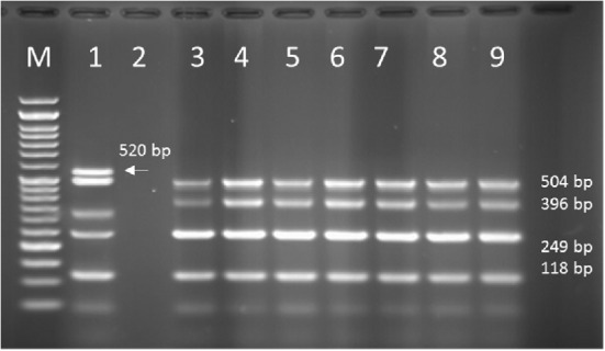 Figure 10